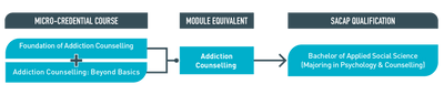 Advanced Addiction Counselling Micro-credential: Essential Skills for Life Transformation