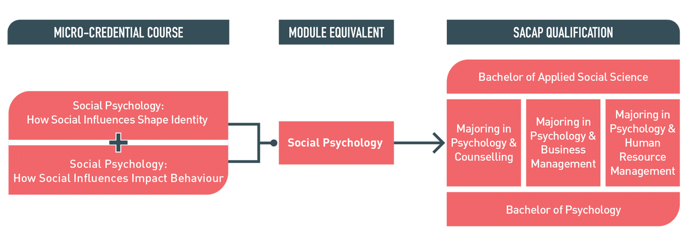 Master Social Psychology: Understand Social Influences on Human Behavior Micro-credential