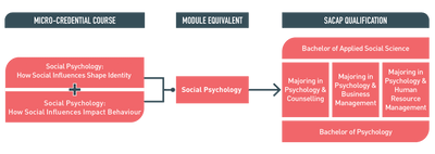 Master Social Psychology: Understand Social Influences on Human Behavior Micro-credential