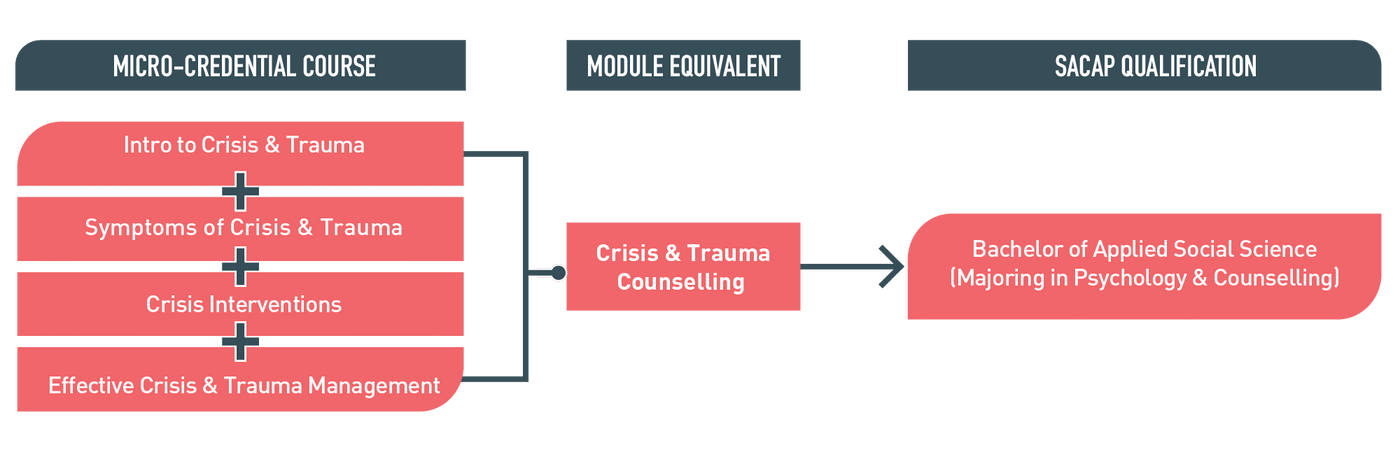 Effective Crisis & Trauma Management Micro-credential: Essential Online Psychology Course