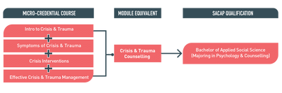 Master Crisis Interventions Micro-credential: Essential Skills for Trauma & Support Professionals