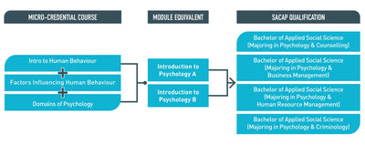 Unlock Psychology's Secrets: Comprehensive Online Micro-credential for Human Behavior