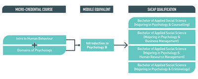 Unlock Psychology's Secrets: Comprehensive Online Micro-credential for Human Behavior