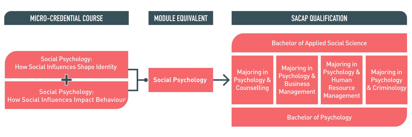 Master Social Psychology: Identity, Social Influence, Human Behavior Micro-credential Course